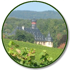 Ausflüge in die Region - Schloss Vollrads